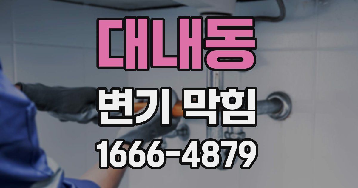 대내동 변기 막힘