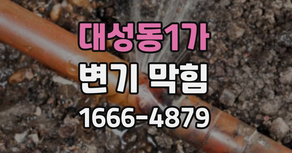 대성동1가 변기 막힘