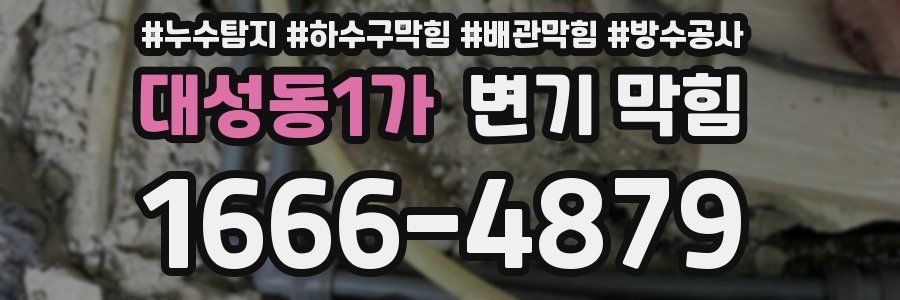 대성동1가 변기 막힘