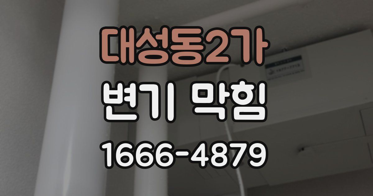 대성동2가 변기 막힘