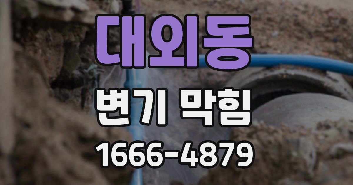 대외동 변기 막힘
