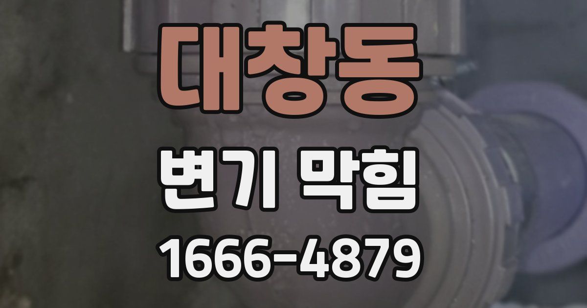 대창동 변기 막힘