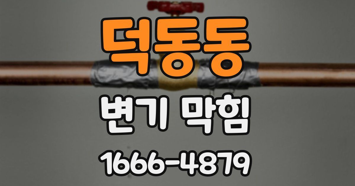 덕동동 변기 막힘