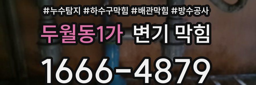 두월동1가 변기 막힘
