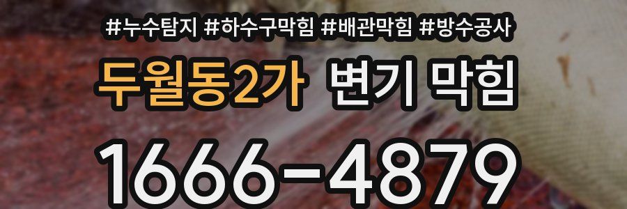 두월동2가 변기 막힘