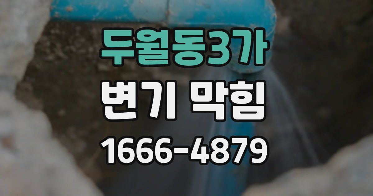 두월동3가 변기 막힘