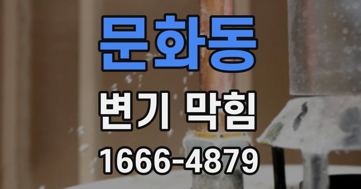 문화동 변기 막힘