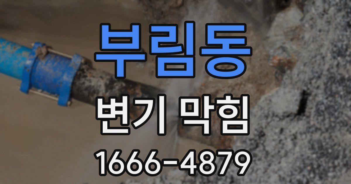 부림동 변기 막힘