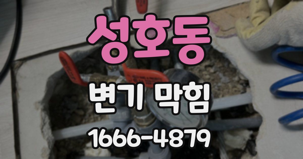 성호동 변기 막힘