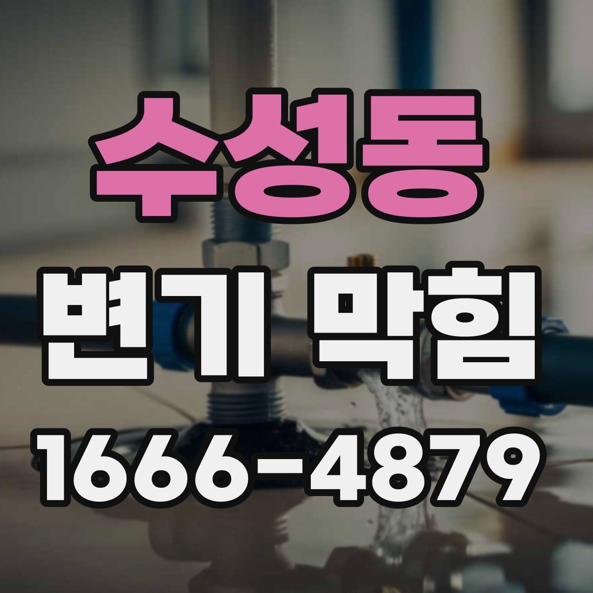 수성동 변기 막힘