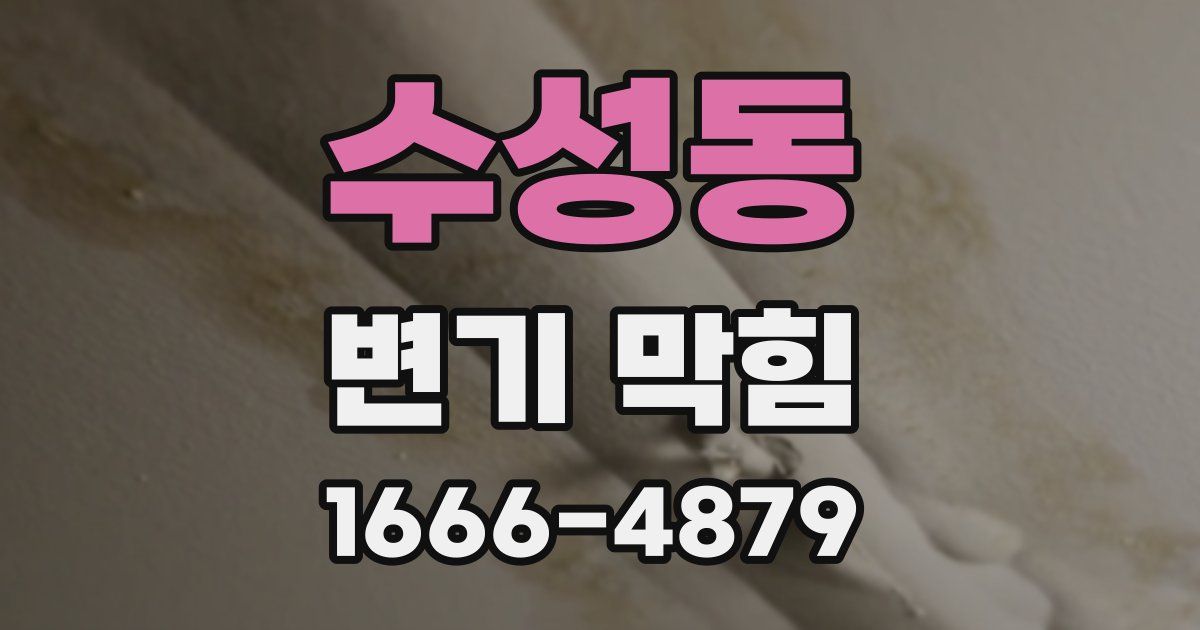 수성동 변기 막힘