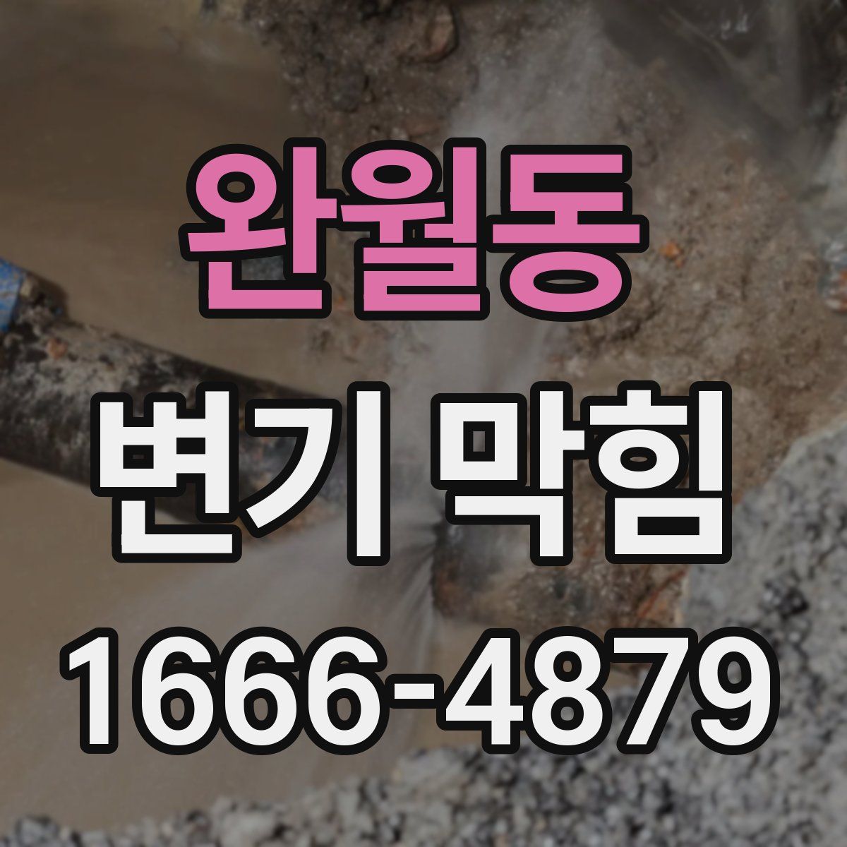 완월동 변기 막힘