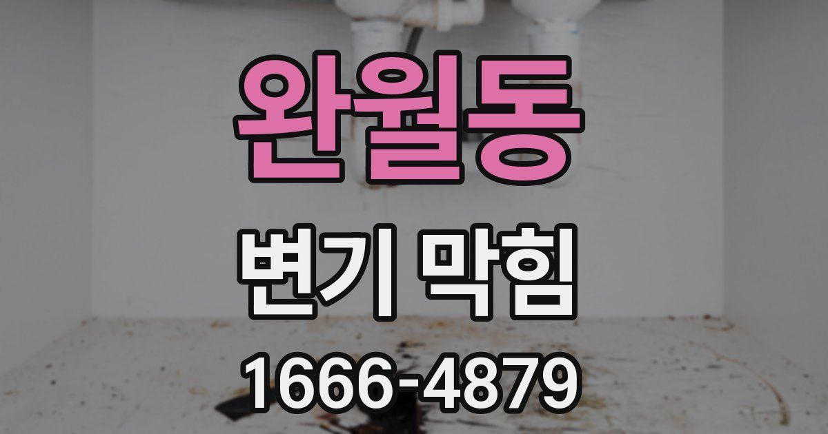 완월동 변기 막힘