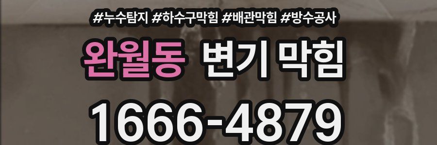 완월동 변기 막힘
