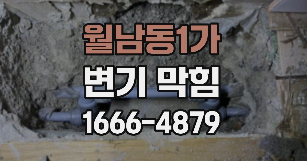 월남동1가 변기 막힘