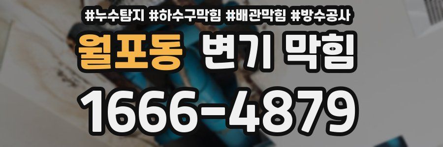 월포동 변기 막힘