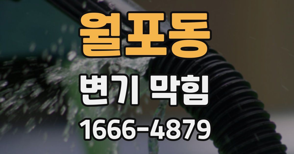 월포동 변기 막힘