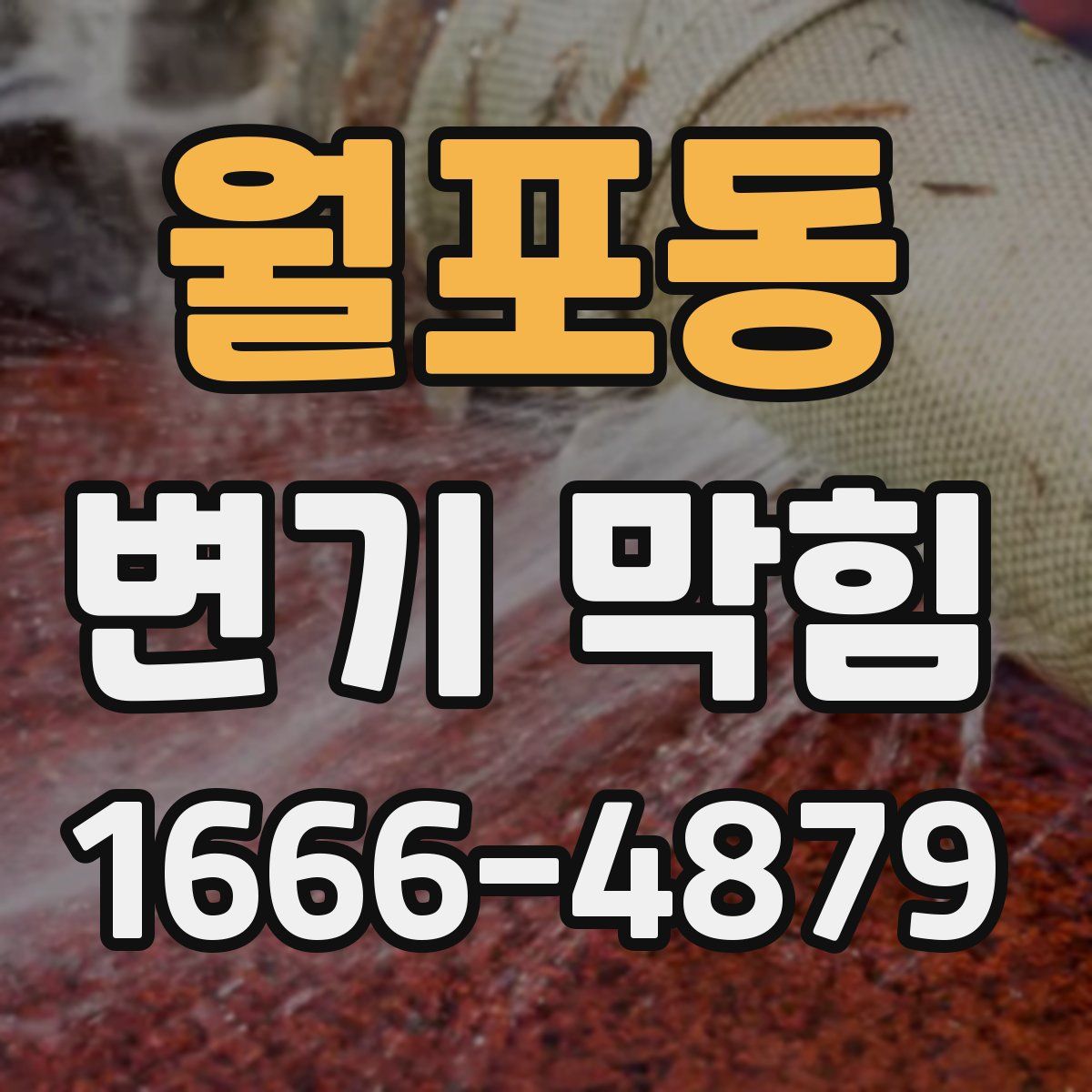 월포동 변기 막힘