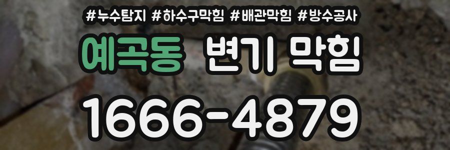 예곡동 변기 막힘