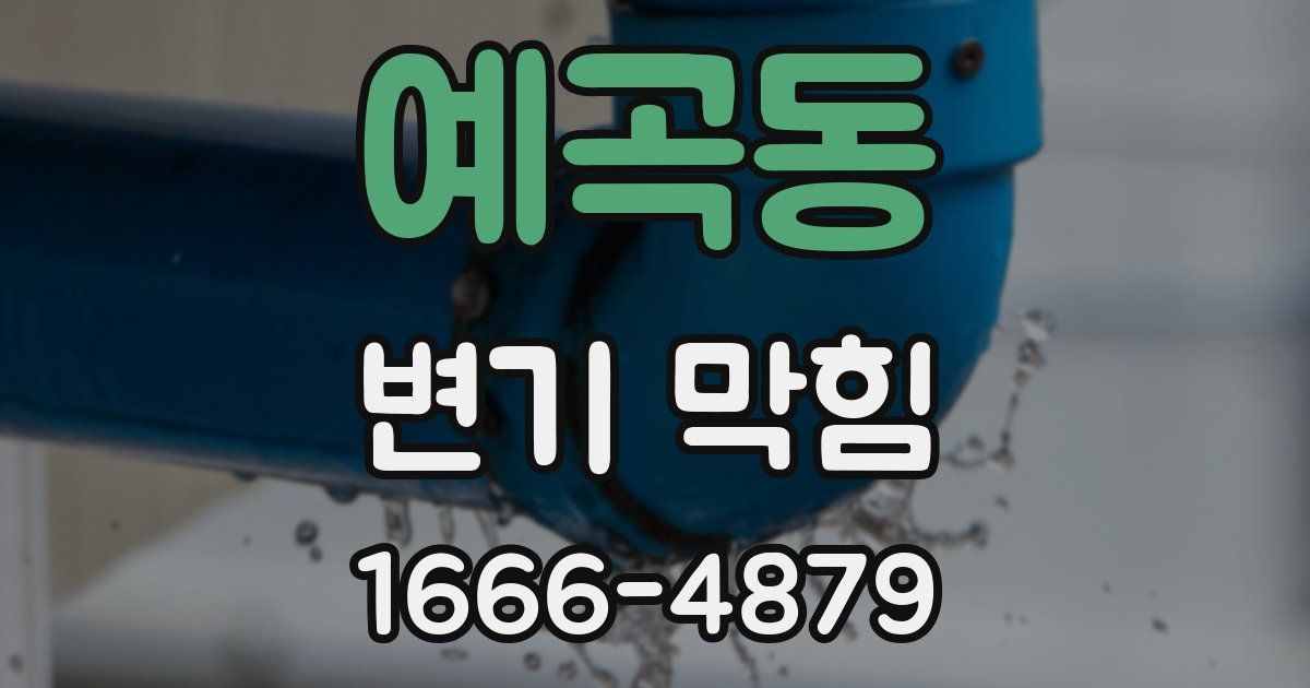 예곡동 변기 막힘