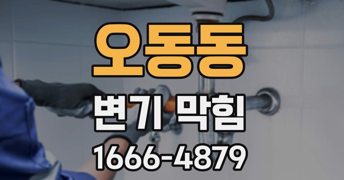 오동동 변기 막힘