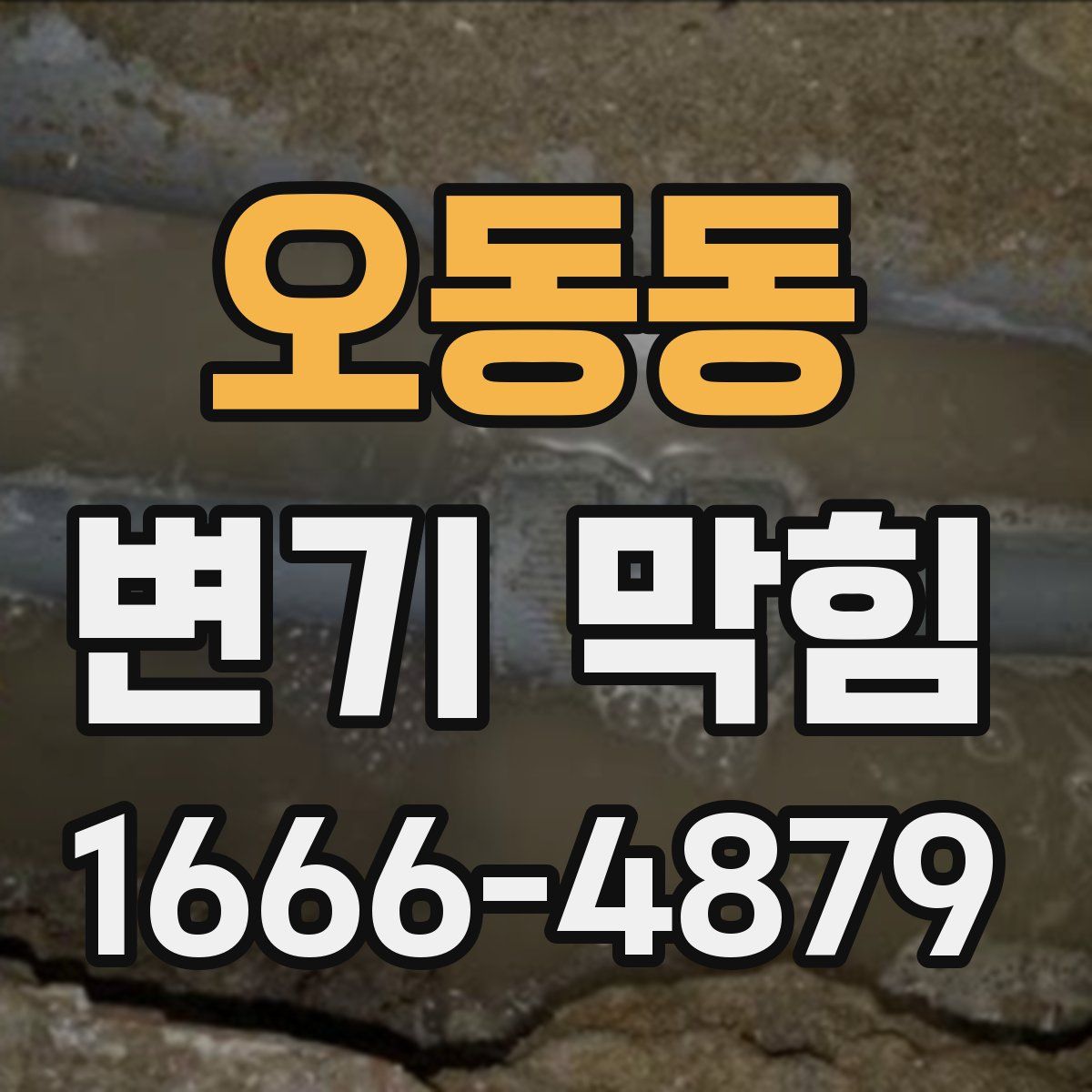 오동동 변기 막힘