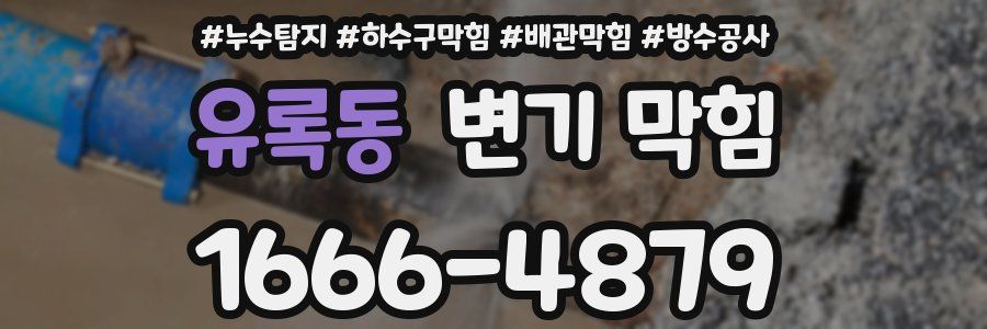 유록동 변기 막힘