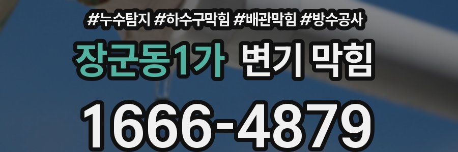 장군동1가 변기 막힘