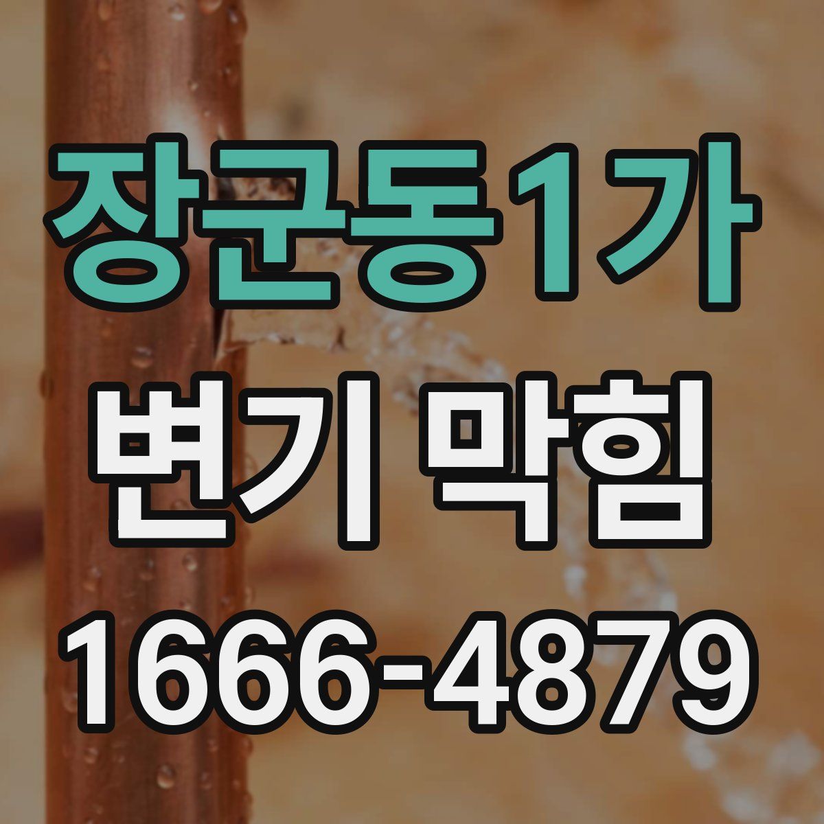 장군동1가 변기 막힘