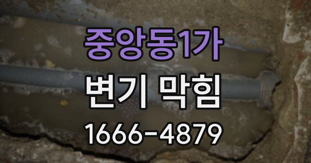 중앙동1가 변기 막힘