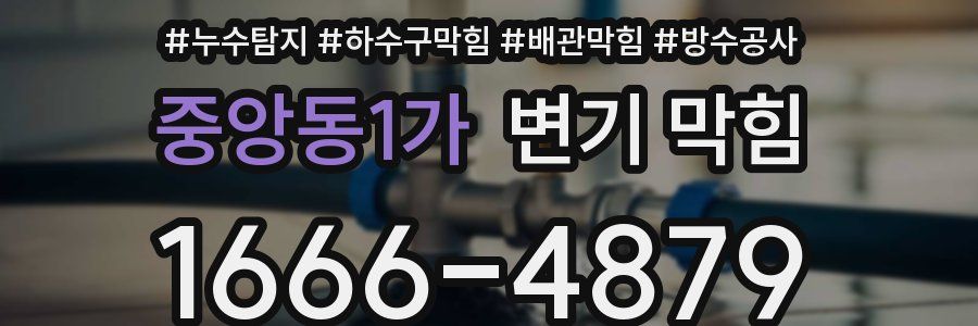 중앙동1가 변기 막힘
