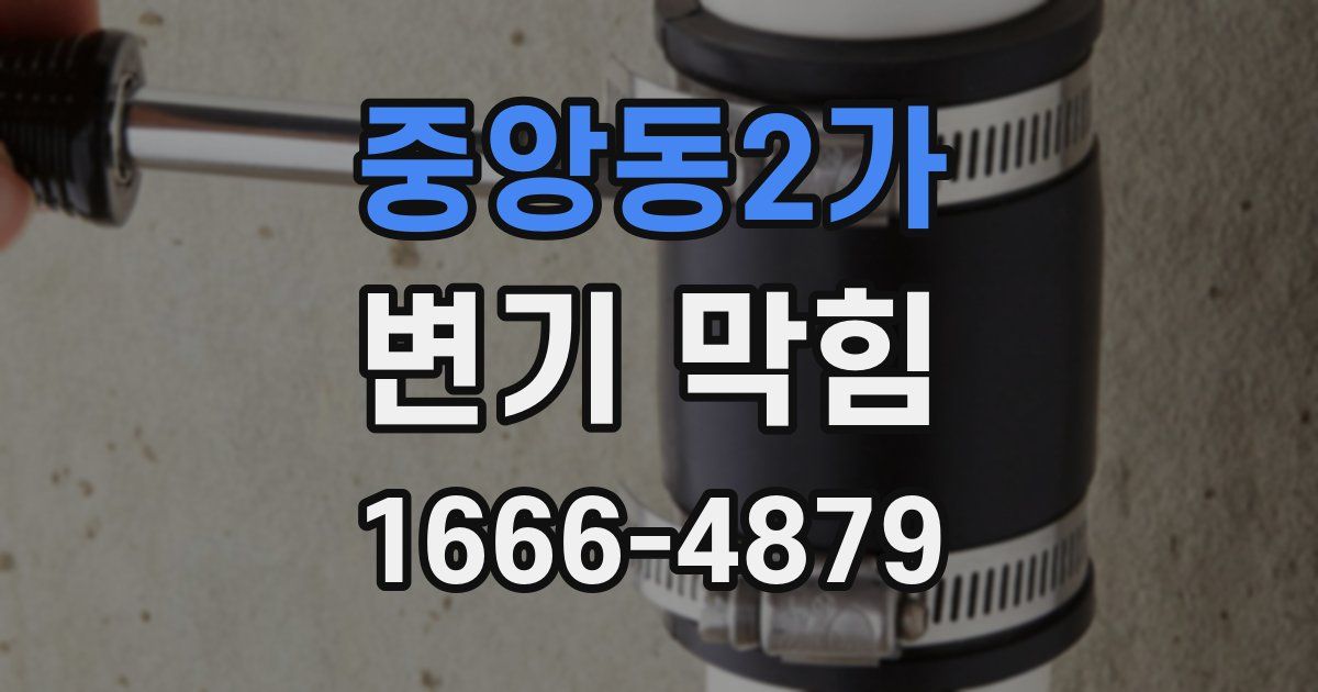 중앙동2가 변기 막힘