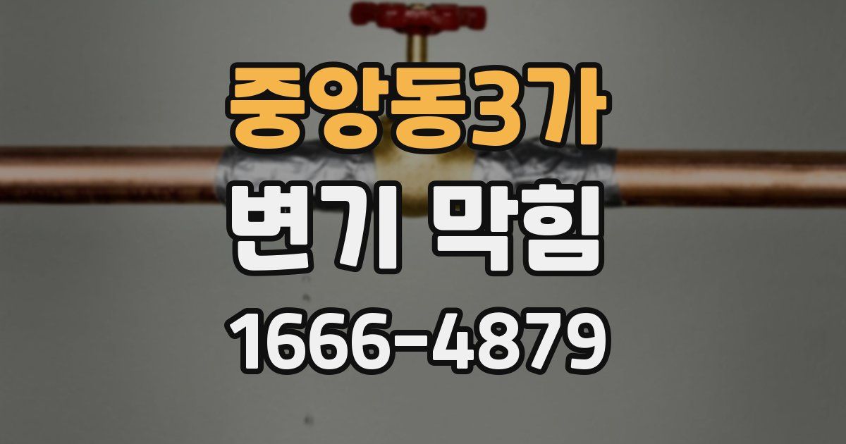 중앙동3가 변기 막힘