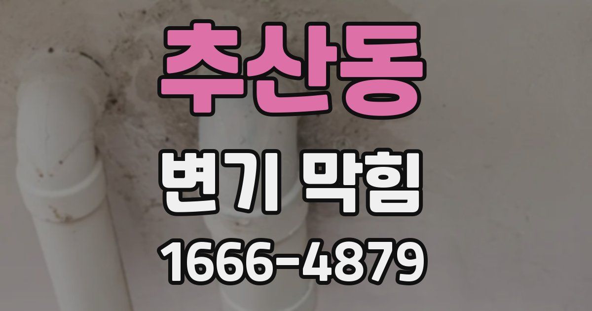 추산동 변기 막힘