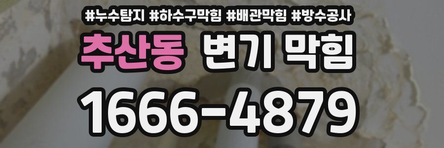 추산동 변기 막힘