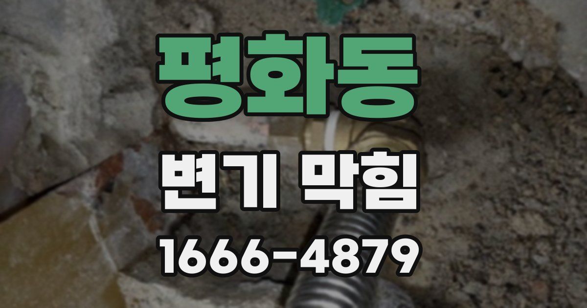 평화동 변기 막힘