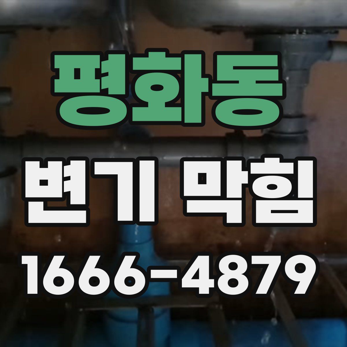 평화동 변기 막힘