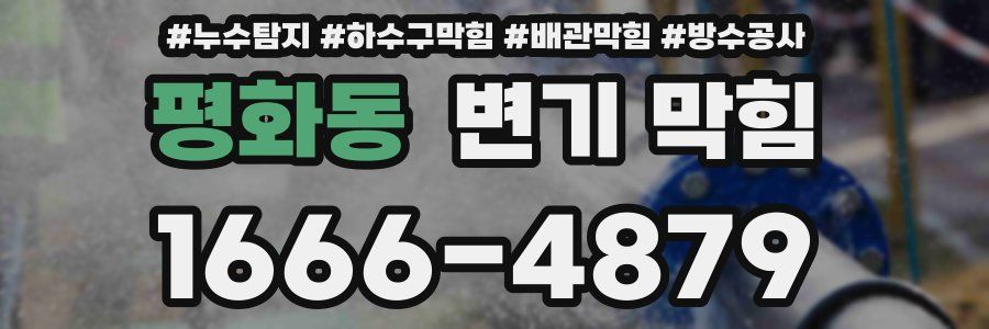 평화동 변기 막힘