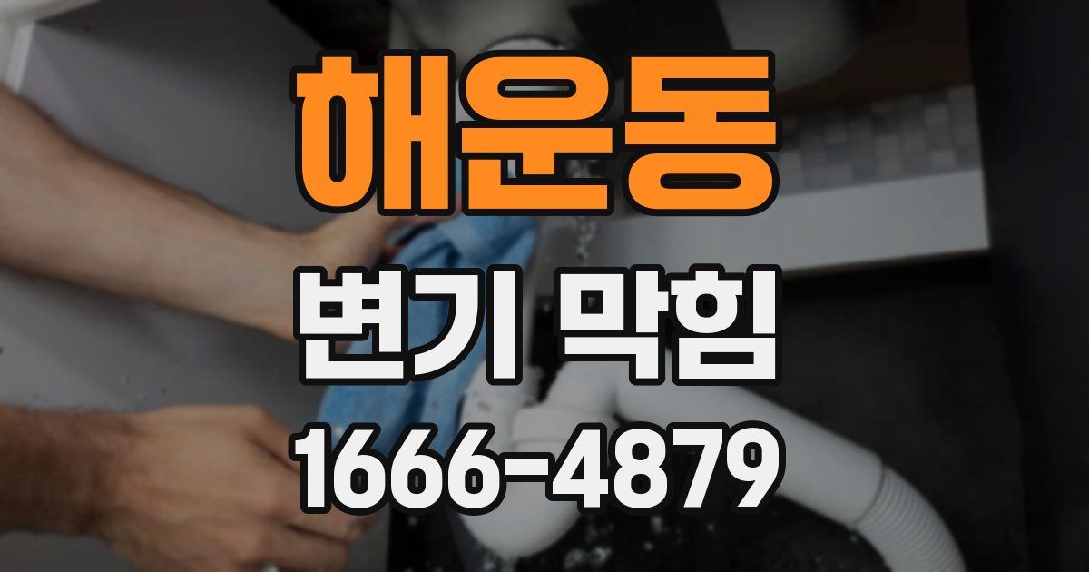 해운동 변기 막힘