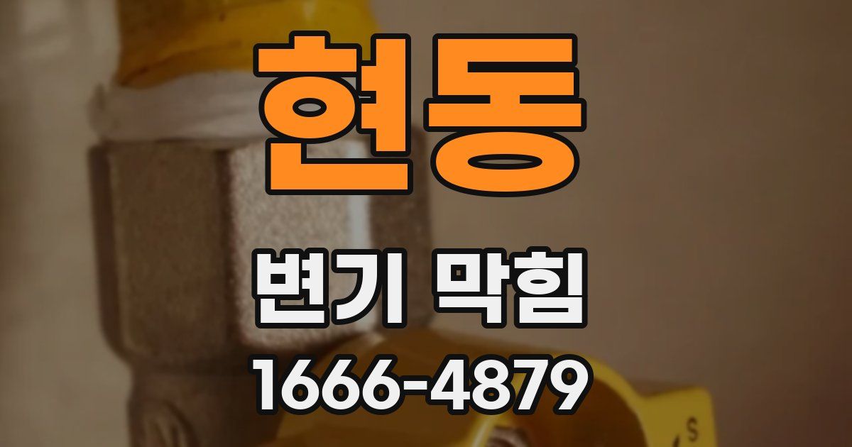 현동 변기 막힘