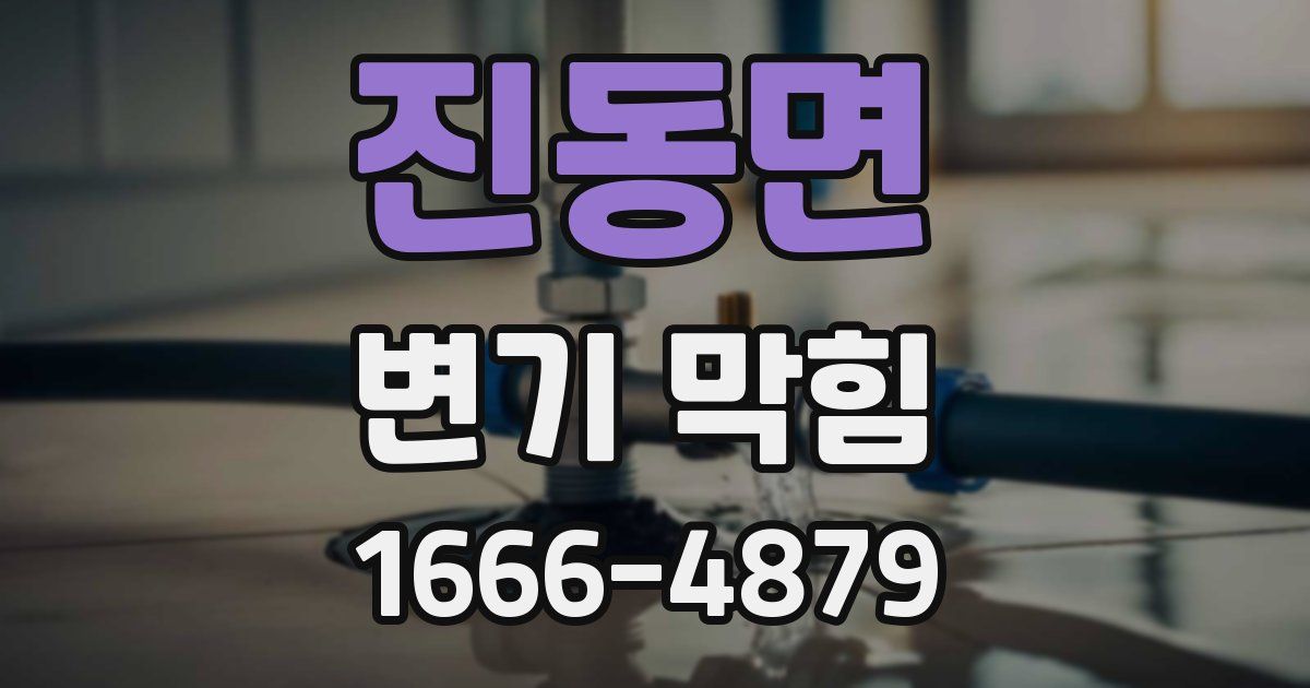 진동면 변기 막힘