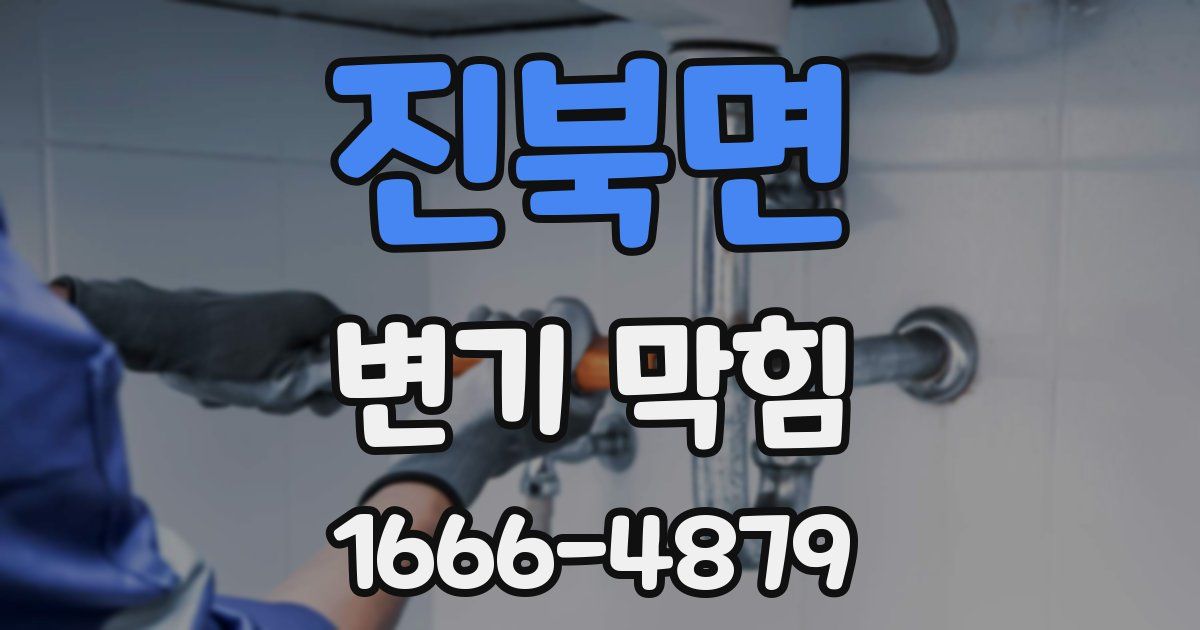 진북면 변기 막힘