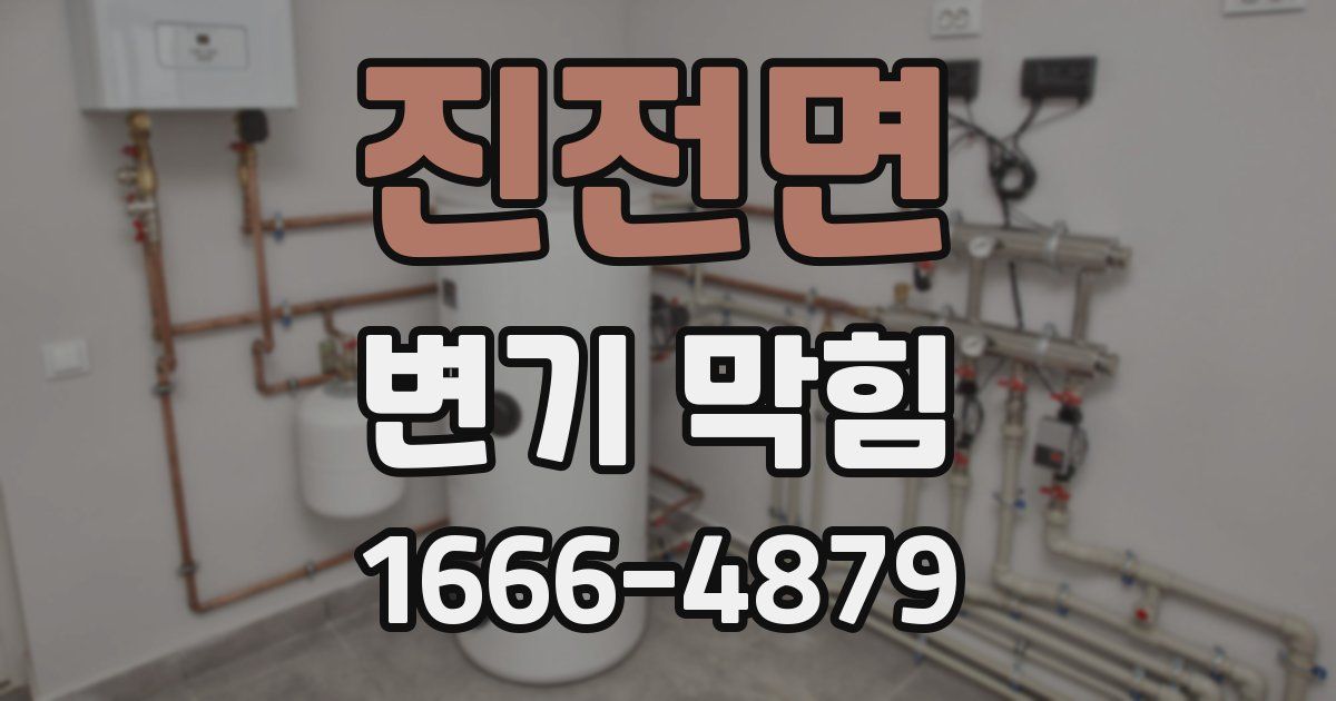 진전면 변기 막힘