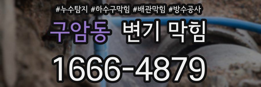 구암동 변기 막힘
