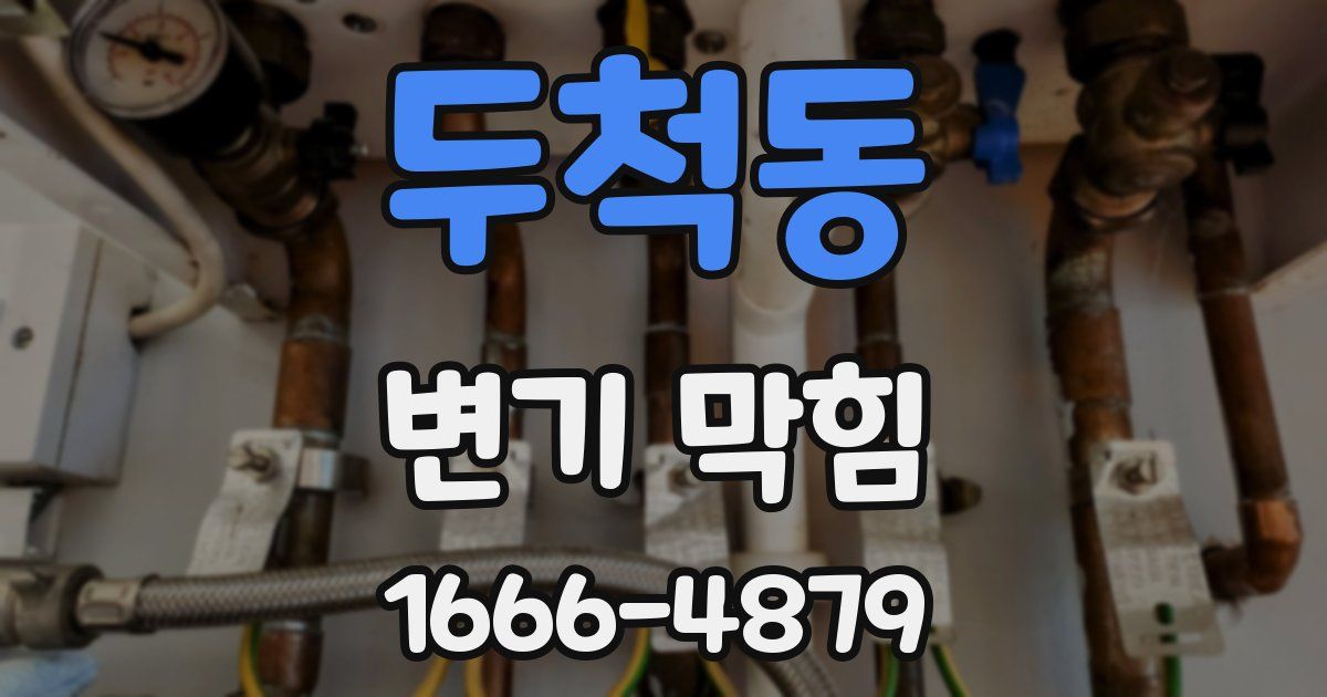 두척동 변기 막힘