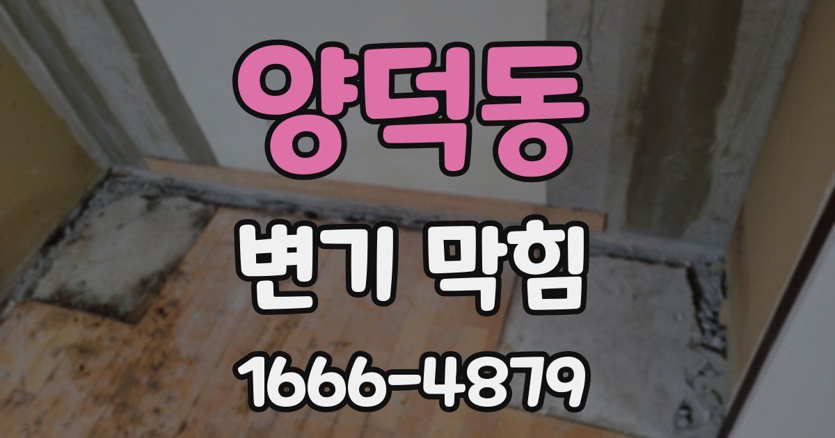 양덕동 변기 막힘