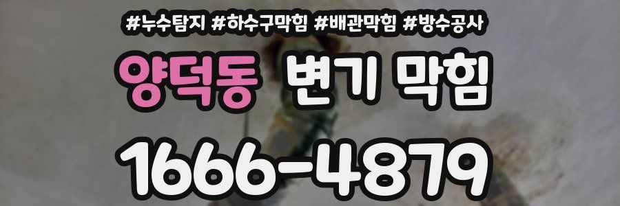 양덕동 변기 막힘