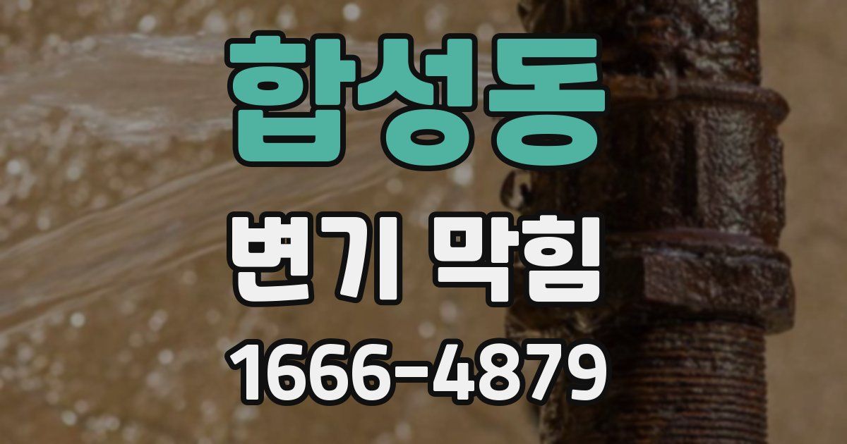 합성동 변기 막힘