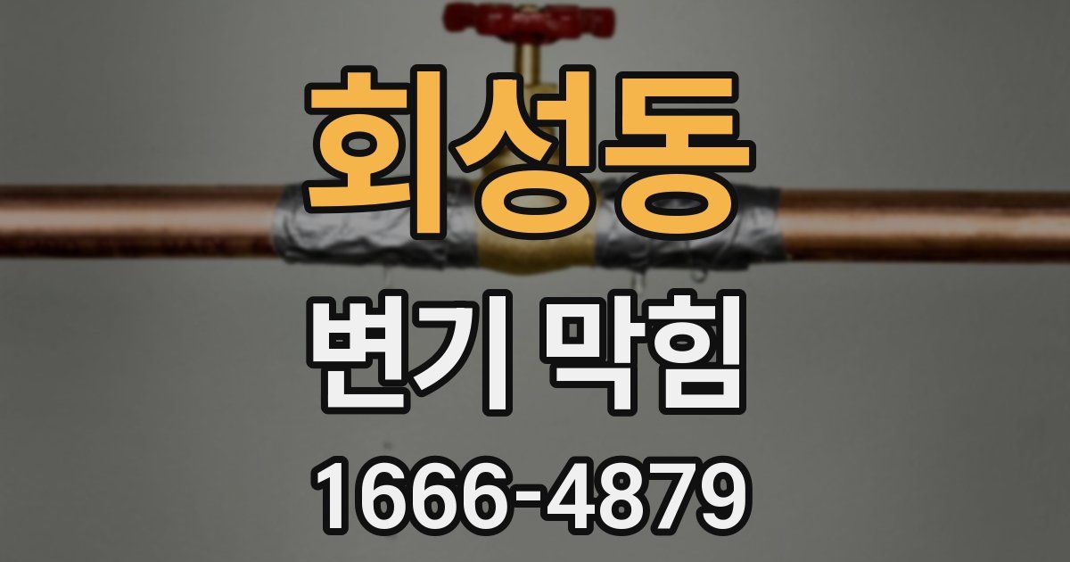 회성동 변기 막힘