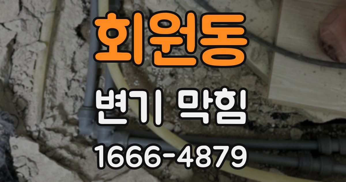 회원동 변기 막힘
